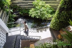 庭院设计的别样选择：下沉式庭院